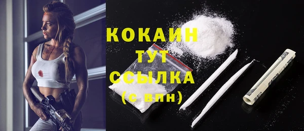 mdpv Новозыбков